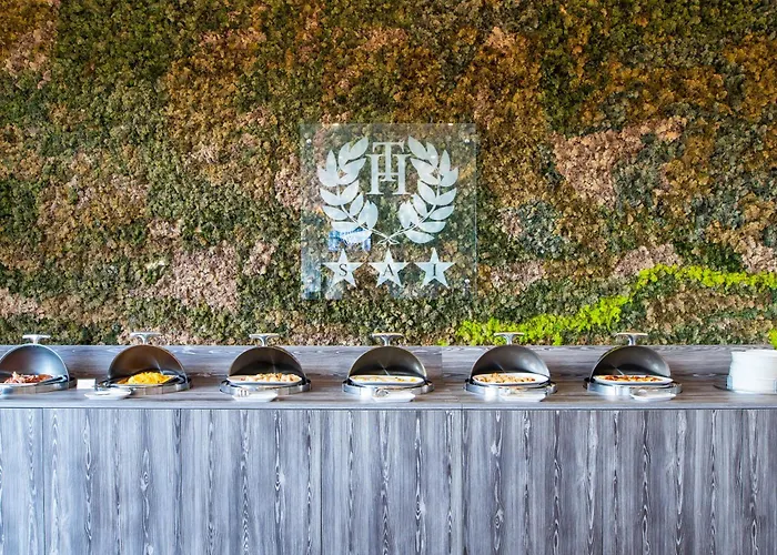 酒店 奇碧酒店 3*